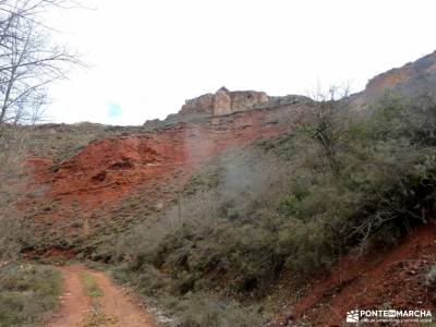 Cañón Caracena; Encina  Valderromán; cabrilla calatañazor galicia artabra castril